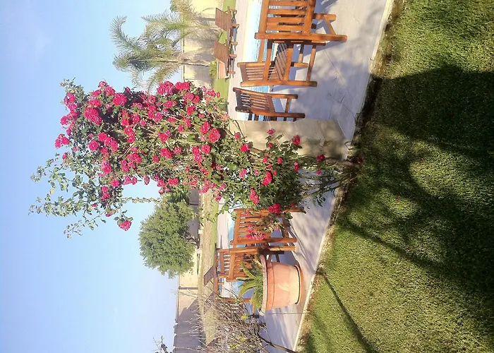 Ξενοδοχείο Masseria Li Campi Cavallino di Lecce