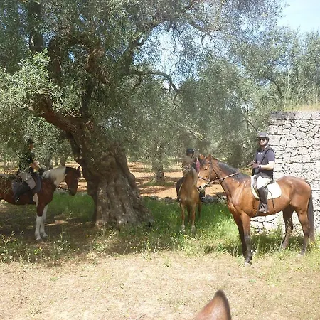Masseria Li Campi Cavallino di Lecce