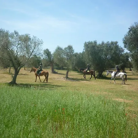 Masseria Li Campi Hotel 4*